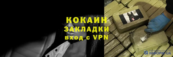 соль ск Михайлов