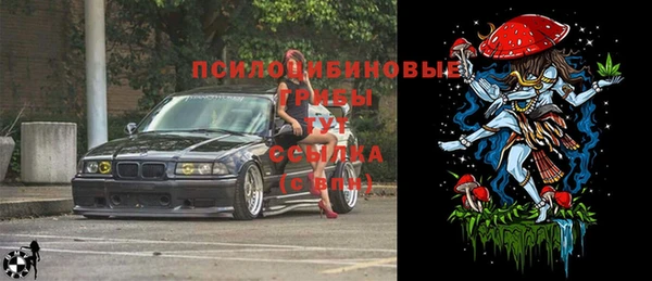 гашик Богородицк