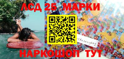 крисы Малгобек