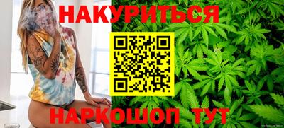 крисы Малгобек
