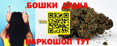 крисы Малгобек