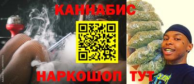 крисы Малгобек