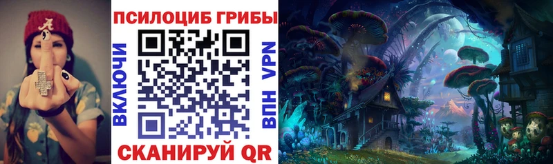 Галлюциногенные грибы Psilocybe  Черемхово 