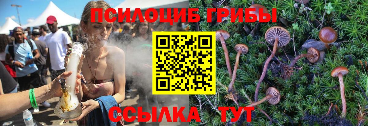 Галлюциногенные грибы мицелий Черемхово