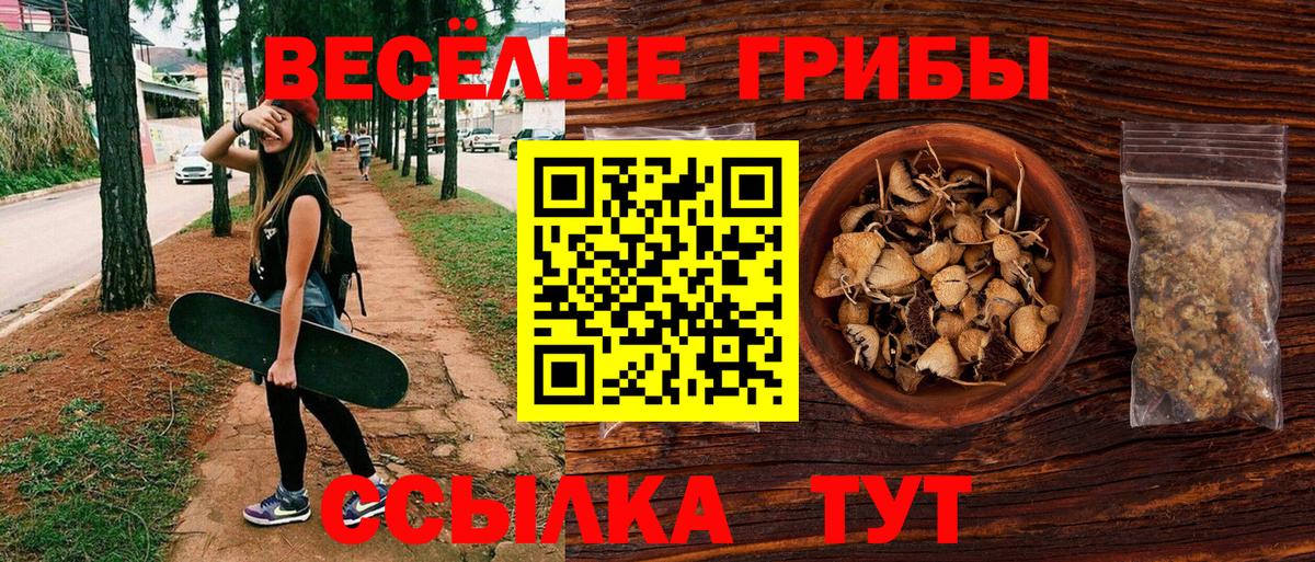 где продают   Псилоцибиновые грибы Cubensis  Вход с VPN  Черемхово 
